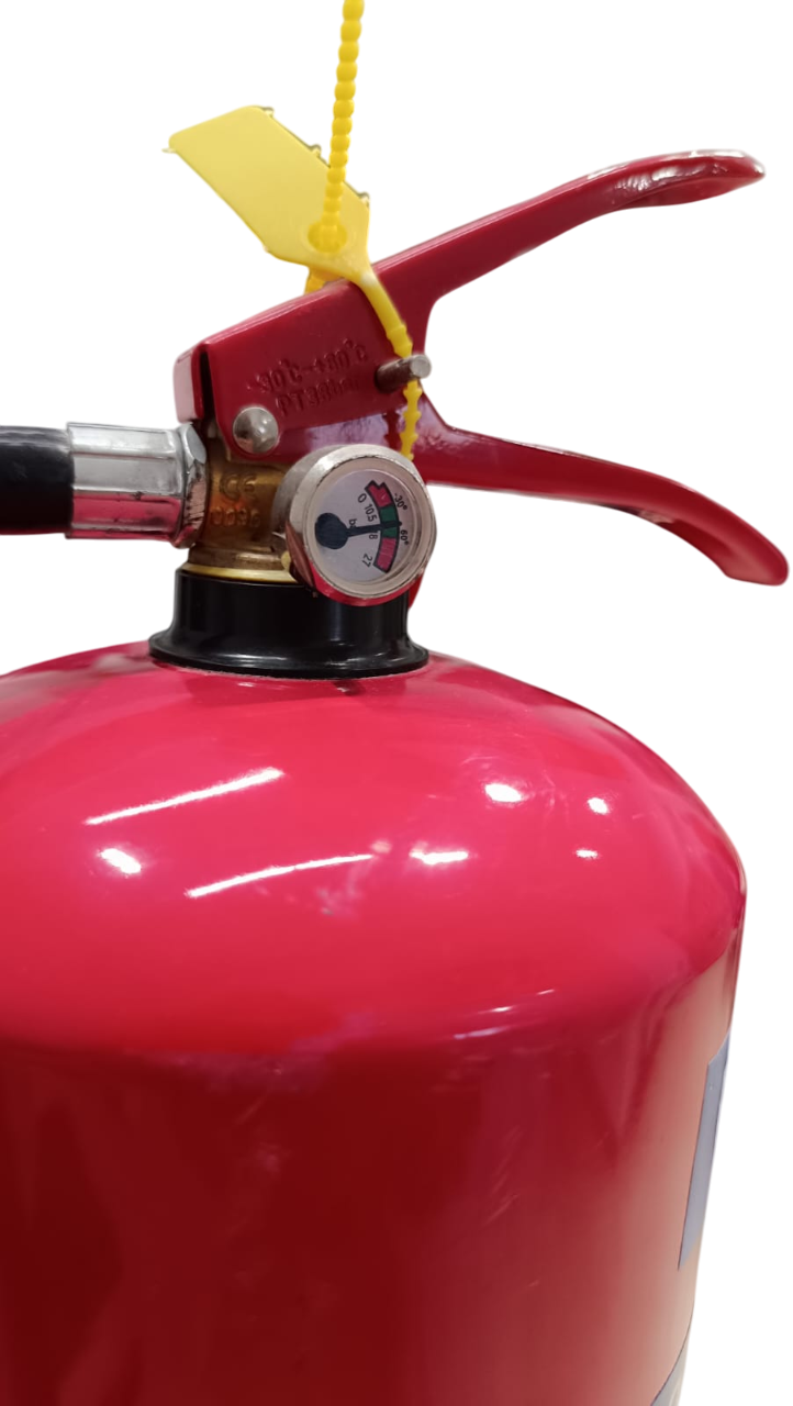 image-Photoroom - 2025-08-06T085907.453