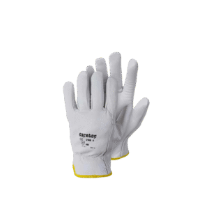 image-Photoroom - 2025-09-03T113013