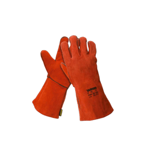 image-Photoroom - 2025-09-03T121957